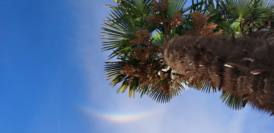 Då startar vi denna&nbsp;blogg!