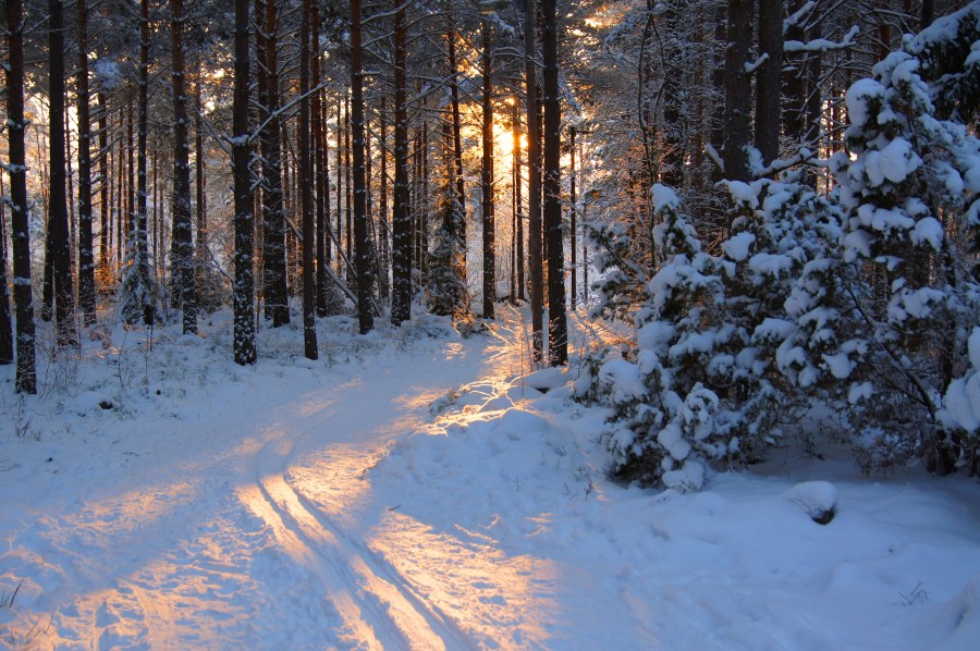 Se www.fakturaprogram.se för mer information om&nbsp;LättFaktura